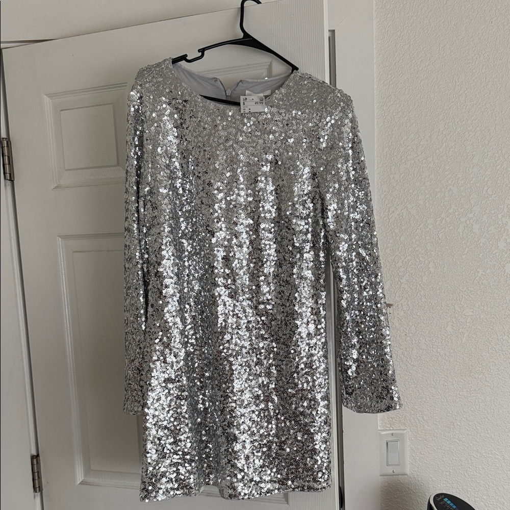 H&M Silver Sequin Dress